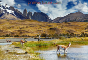 Chiles Torres del Paine National Park