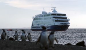 The Stella Australis with Magellenic Penguins near Patagonia and Cape Horn