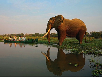 Canoe Travelers meet elephant