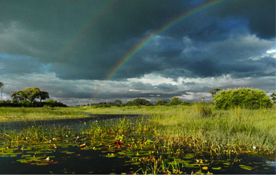 PTBlog19GreenNaturalWonderland Botswana rainbow