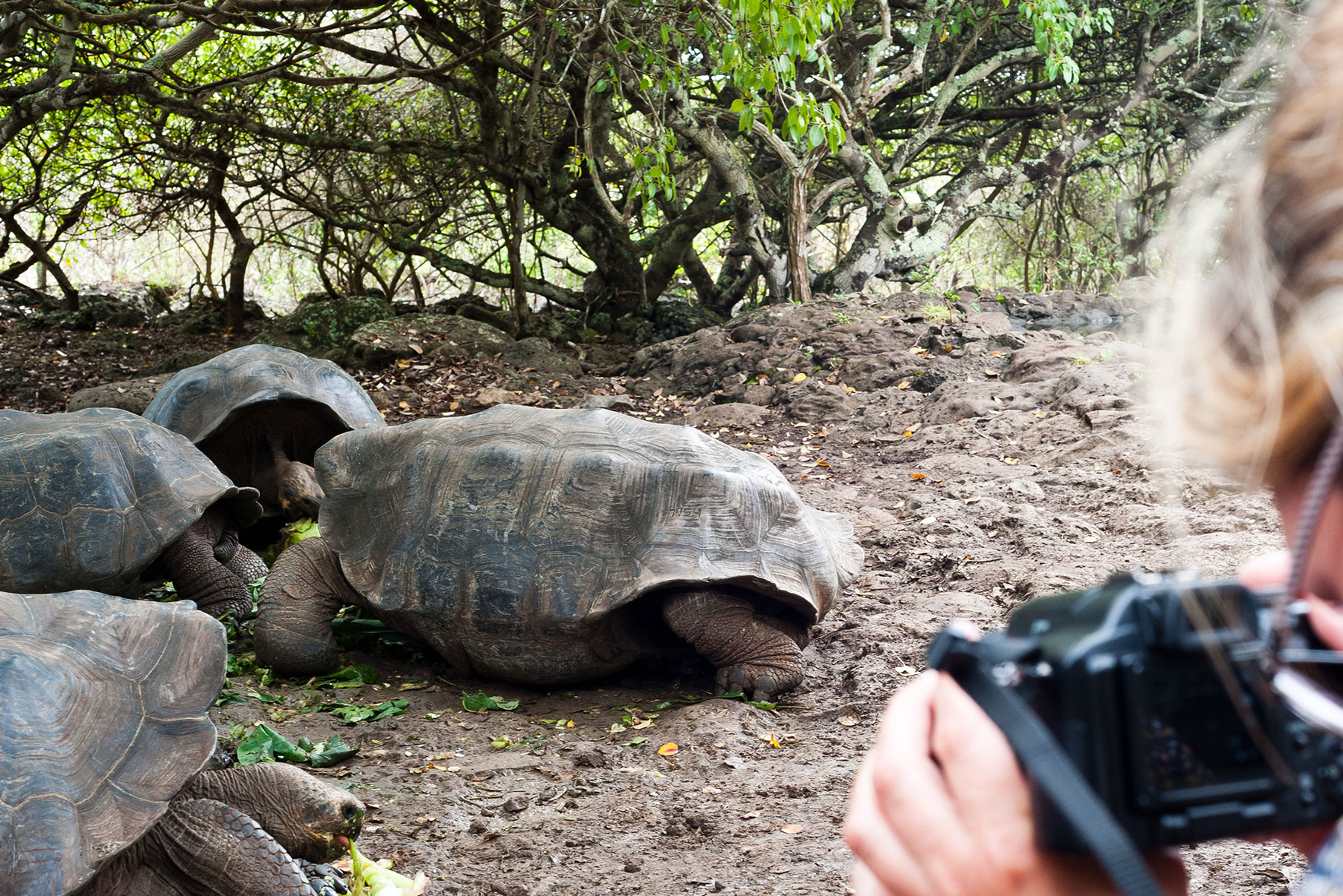 Premiere Galápagos