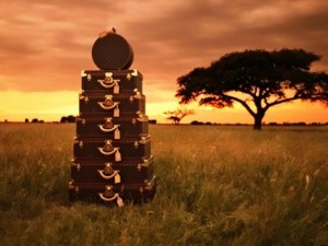 Stack of Luggage on the African Savannah
