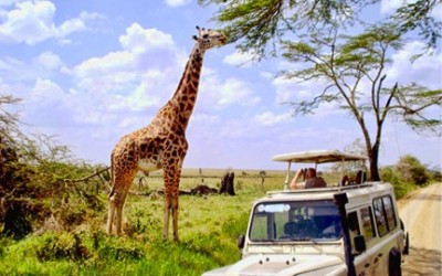 visit africa safari planning timelime