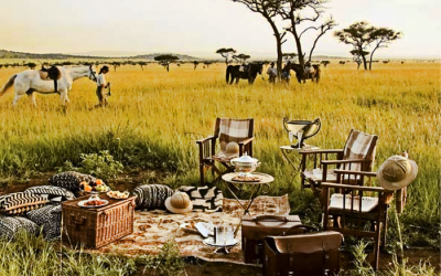 luxury african safari picnic