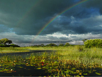 travel to botswana rainy season