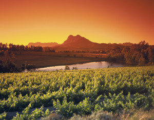 south african holidays cape winelands