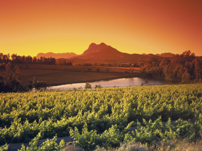 south african holidays cape winelands