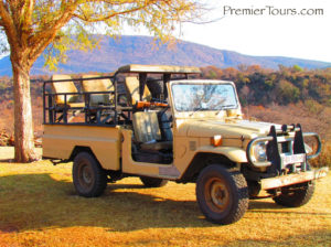 Safari considerations for older travelers or those with disabilities