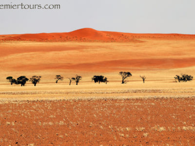 Colors of the Desert of Namibia