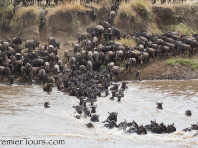 African Great Migration Frequently Asked Questions