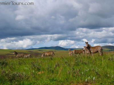 Best time to Travel to Southern Africa - Malawi