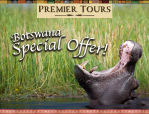Premier Tours Botswana Special Offer
