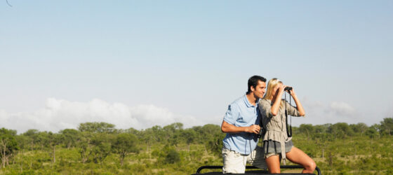 Safari Honeymoon in South Africa