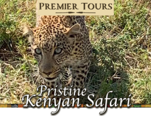 Pristine Kenyan Safari